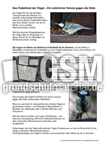 Federkleid-der-Vögel.pdf